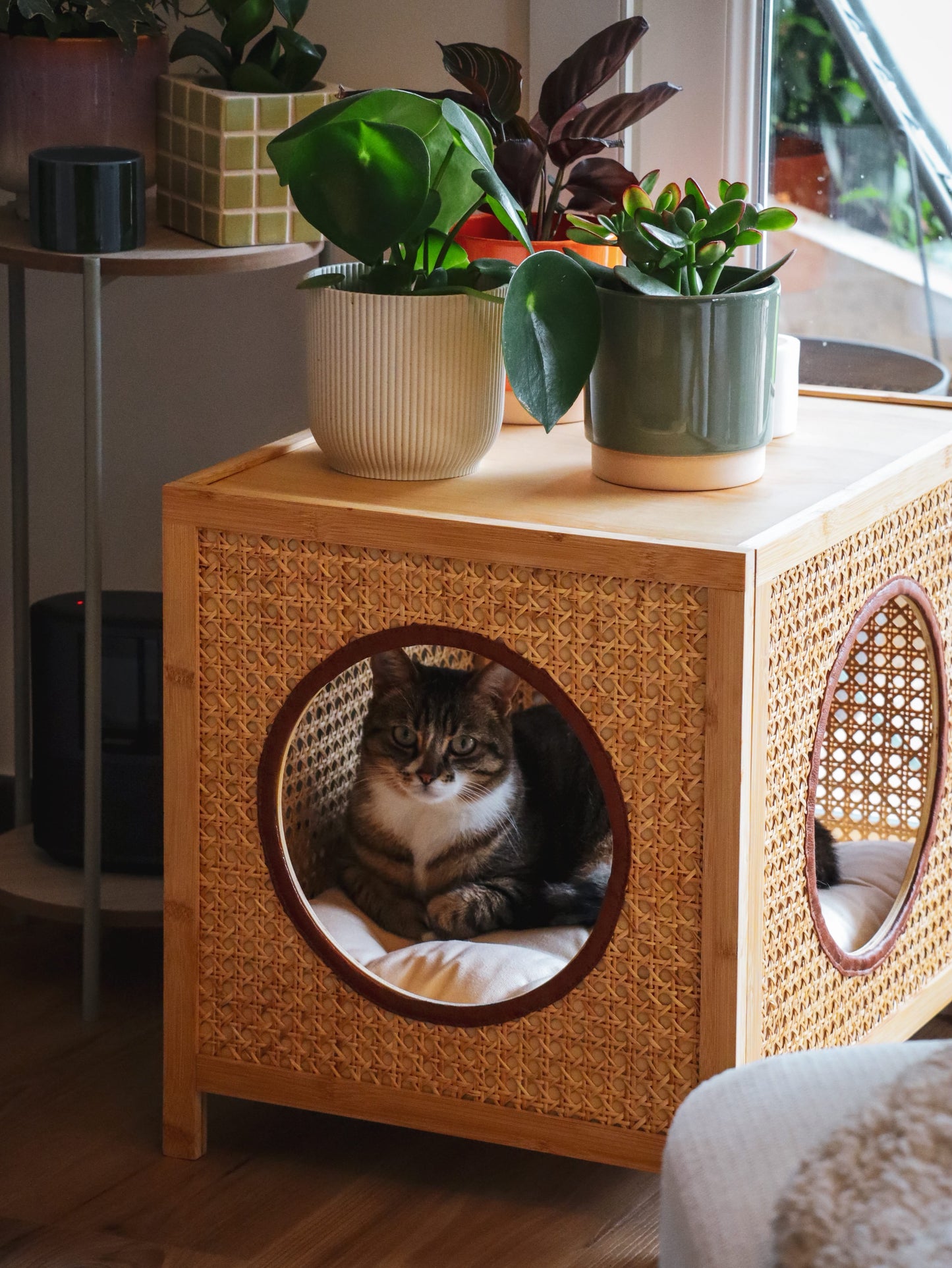 LE ZEST | Lit Table en Rotin Japandi pour Chat | CATSAURA