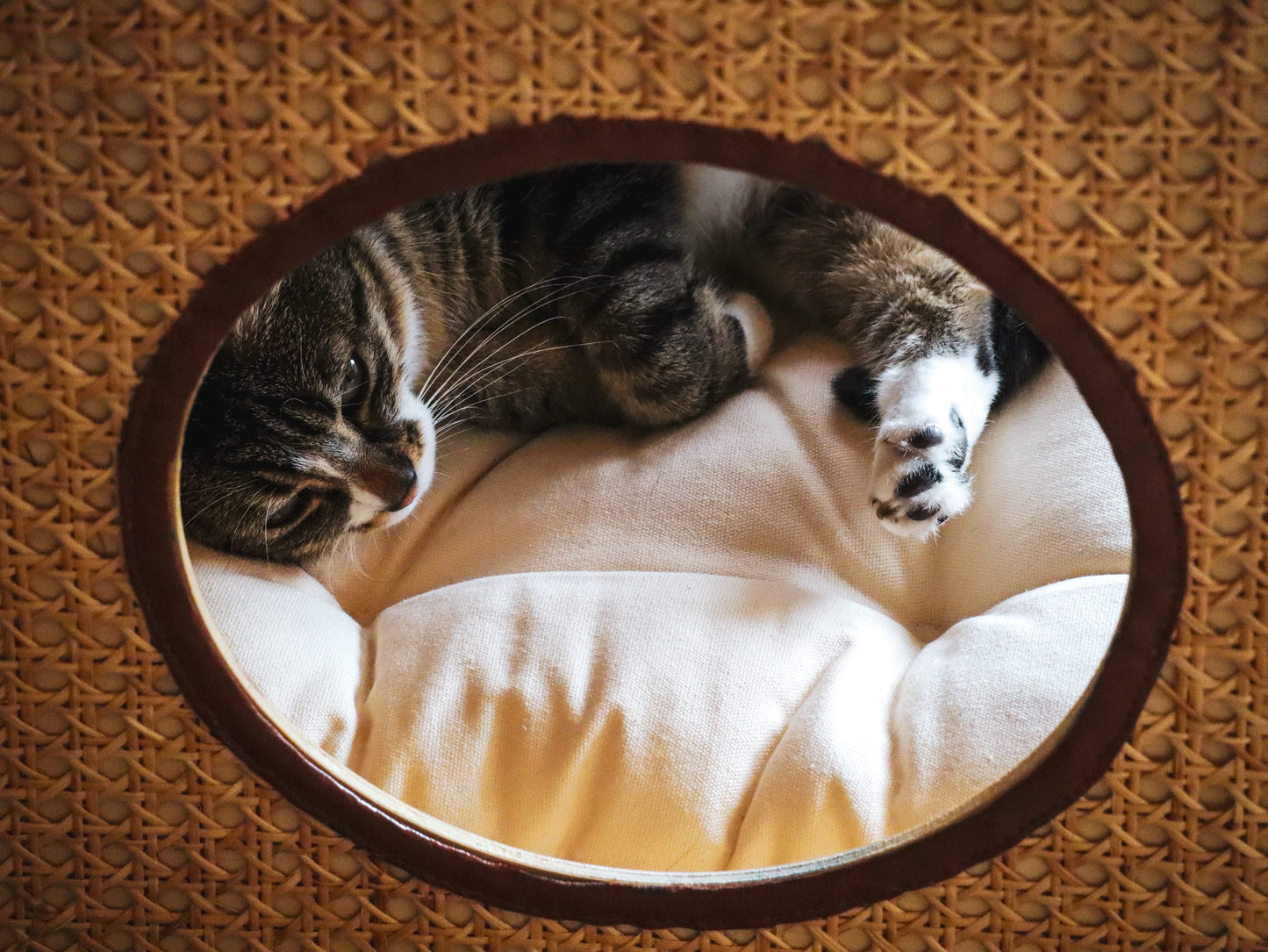 LE ZEST | Lit Table en Rotin Japandi pour Chat | CATSAURA